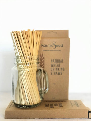 Eco-Friendly Natural Wheat Hay Drinking Straws (100 Straws)