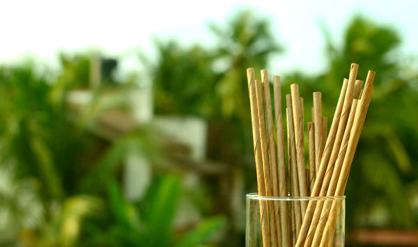 Leafy Straw - Coconut Palm Leaf Drinking Straws (50 Count) - FREE US Shipping
